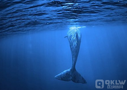 BAYC和Punks催生的NFT火爆背景下 DeFi还有出口突围吗？