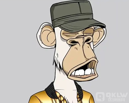 被一只猴子骗了：走进令人眼花缭乱的NFT诈骗世界