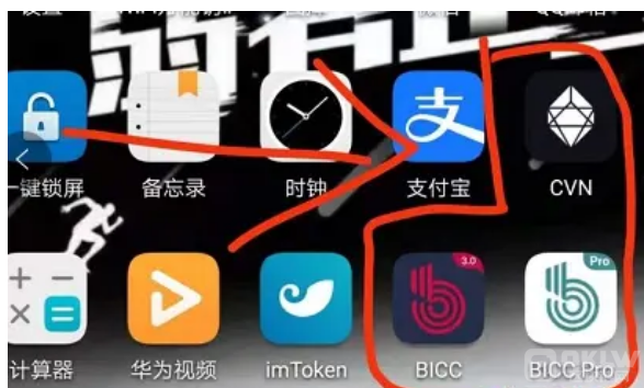 十大诈骗案例之：王小彬的cvn和BICC币交所