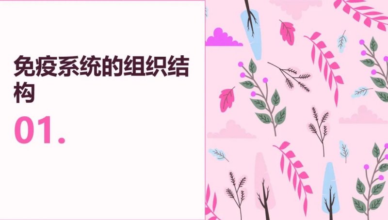 星火3.0 VS GPT3.5，百「模」争流时代来临