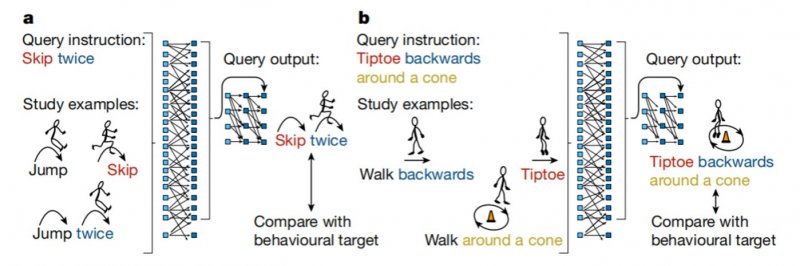 Nature重磅：人类的这一能力，被AI掌握甚至超越了