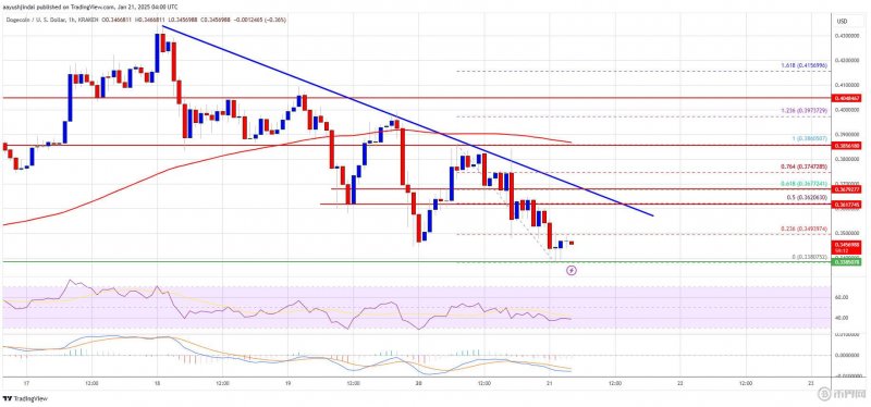 特朗普政府效率部成立，政策引发法律风暴，狗狗币价格再次下跌