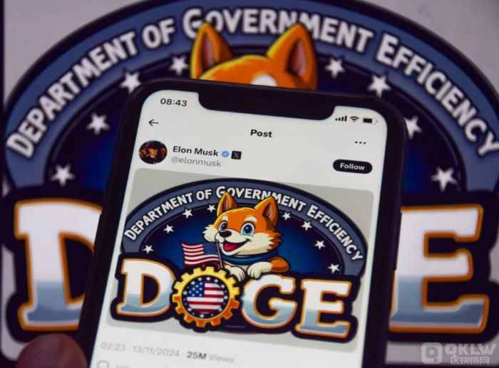 马斯克领导DOGE部门探索区块链提升政府效率