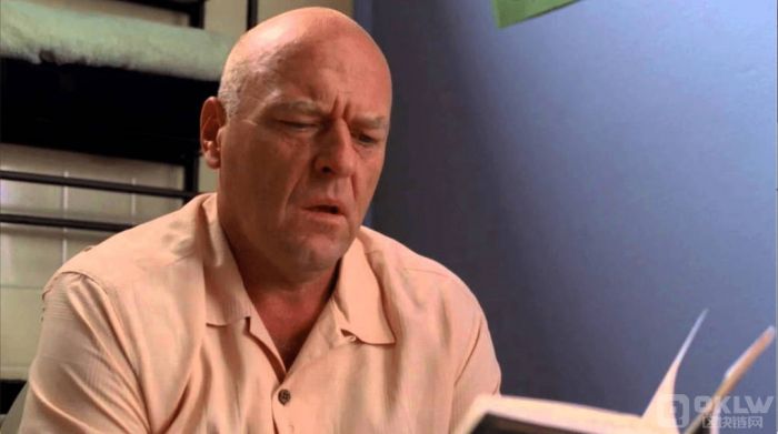 Dean&nbsp;Norris&nbsp;再度成为黑客攻击目标，虚假加密货币骗局引发关注